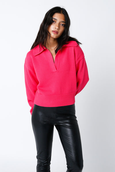 Roxy Collared Sweater Pink